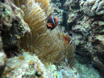 武藤潜水に投稿された画像（2022/1/26）