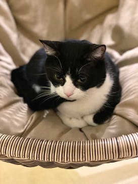 Moff animal world MARK IS みなとみらい店に投稿された画像（2022/1/26）