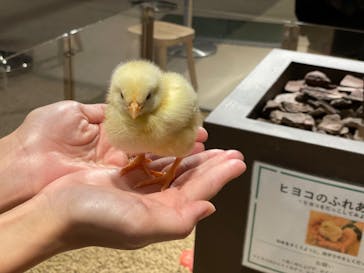 Moff animal world MARK IS みなとみらい店に投稿された画像（2022/1/26）