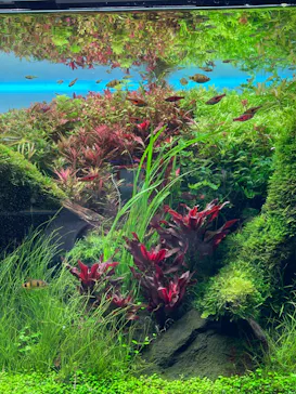 すみだ水族館に投稿された画像（2022/1/26）