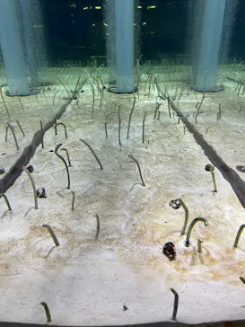 すみだ水族館に投稿された画像（2022/1/26）