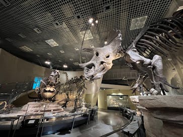 国立科学博物館に投稿された画像（2022/1/26）