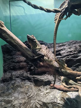 サンシャイン水族館に投稿された画像（2022/1/26）