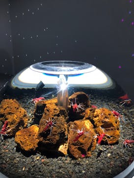 felissimo chocolate museum（フェリシモチョコレートミュージアム）に投稿された画像（2022/1/26）