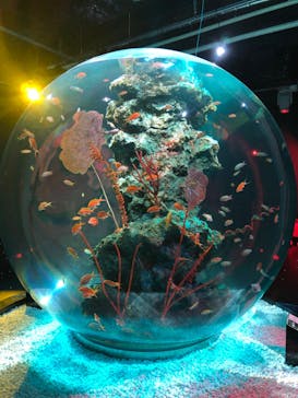 felissimo chocolate museum（フェリシモチョコレートミュージアム）に投稿された画像（2022/1/26）