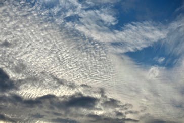 サンシャイン60展望台に投稿された画像（2022/1/26）