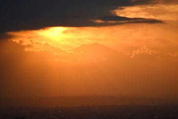 サンシャイン60展望台に投稿された画像（2022/1/26）