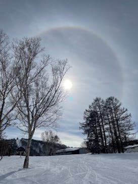 野沢温泉スキー場に投稿された画像（2022/1/26）