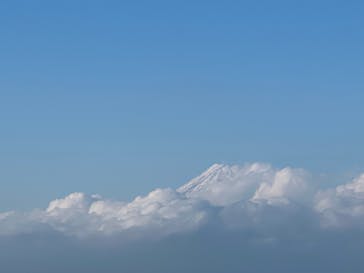 伊豆パノラマパークに投稿された画像（2022/1/26）