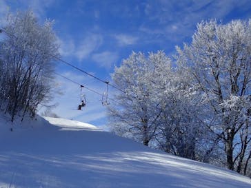 戸隠スキー場に投稿された画像（2022/1/26）