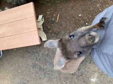 伊豆シャボテン動物公園に投稿された画像（2022/1/26）