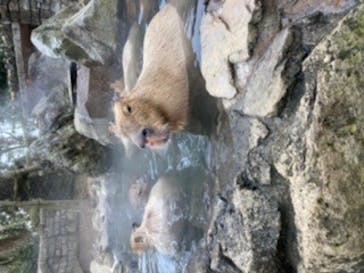 伊豆シャボテン動物公園に投稿された画像（2022/1/26）