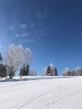 志賀高原マウンテンリゾートに投稿された画像（2022/1/26）