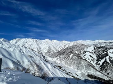 白馬八方尾根スキー場に投稿された画像（2022/1/26）