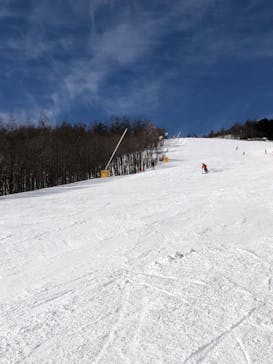 サンメドウズ清里に投稿された画像（2022/1/27）