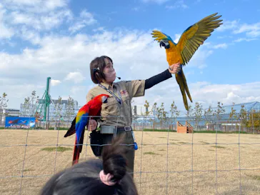 神戸どうぶつ王国に投稿された画像（2022/1/27）