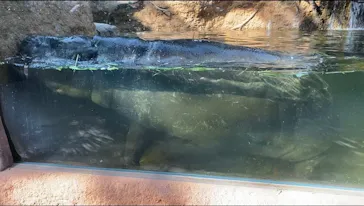 神戸どうぶつ王国に投稿された画像（2022/1/27）