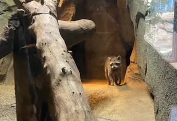 神戸どうぶつ王国に投稿された画像（2022/1/27）