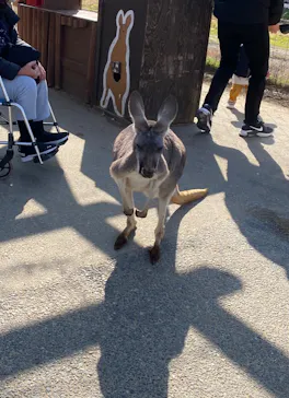 神戸どうぶつ王国に投稿された画像（2022/1/27）