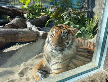 神戸どうぶつ王国に投稿された画像（2022/1/27）