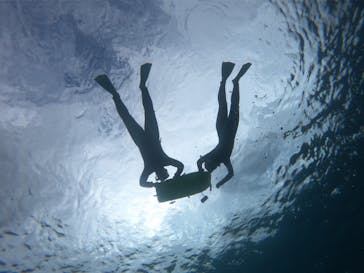 マリンクラブ ベリー 那覇店に投稿された画像（2022/1/27）