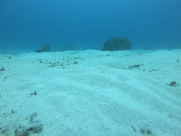 マリンクラブ ベリー 那覇店に投稿された画像（2022/1/27）