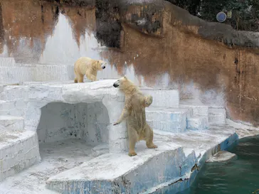 天王寺動物園に投稿された画像（2022/1/27）