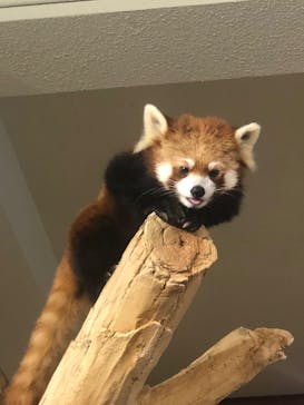 ネオパークオキナワに投稿された画像（2022/1/27）