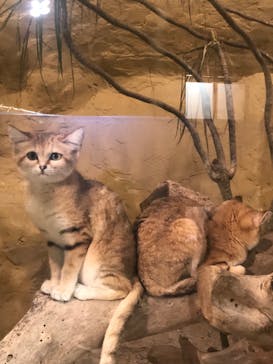 ネオパークオキナワに投稿された画像（2022/1/27）