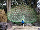 伊豆シャボテン動物公園に投稿された画像（2022/1/27）
