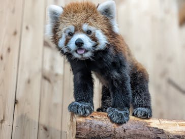 伊豆シャボテン動物公園に投稿された画像（2022/1/27）