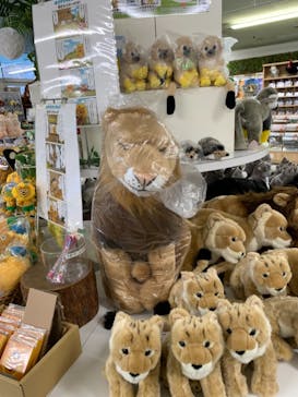 群馬サファリパークに投稿された画像（2022/1/27）