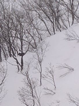 白馬岩岳スノーフィールドに投稿された画像（2022/1/27）