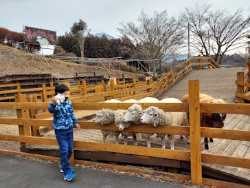 まかいの牧場に投稿された画像（2022/1/28）