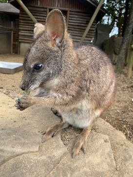 伊豆シャボテン動物公園に投稿された画像（2022/1/28）