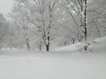 白馬コルチナスキー場に投稿された画像（2022/1/28）