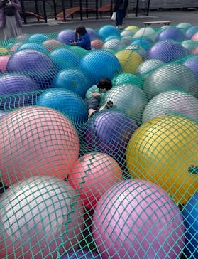 伊豆ぐらんぱる公園に投稿された画像（2022/1/28）