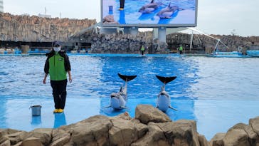 名古屋港水族館に投稿された画像（2022/1/28）