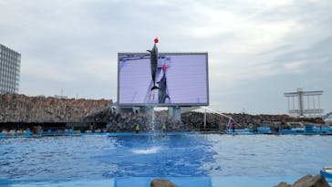 名古屋港水族館に投稿された画像（2022/1/28）