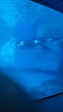 名古屋港水族館に投稿された画像（2022/1/28）