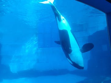 名古屋港水族館に投稿された画像（2022/1/28）