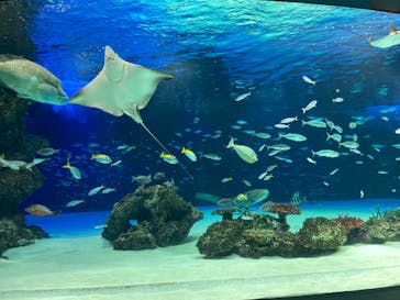 サンシャイン水族館に投稿された画像（2022/1/28）