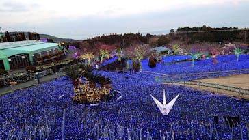 伊豆ぐらんぱる公園に投稿された画像（2022/1/28）