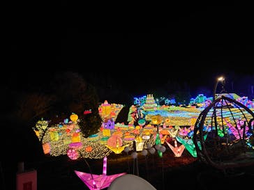 伊豆ぐらんぱる公園に投稿された画像（2022/1/28）