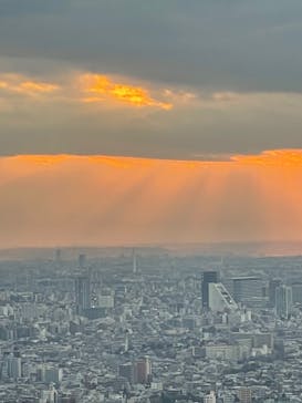 サンシャイン60展望台に投稿された画像（2022/1/28）