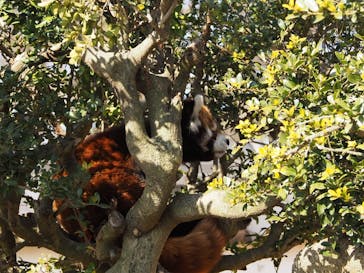 東武動物公園に投稿された画像（2022/1/28）