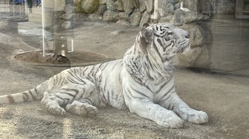 東武動物公園に投稿された画像（2022/1/28）