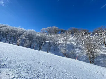 びわ湖バレイに投稿された画像（2022/1/28）