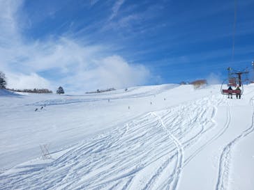 志賀高原中央エリアスキー場に投稿された画像（2022/1/28）
