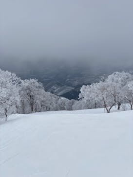 野沢温泉スキー場に投稿された画像（2022/1/29）